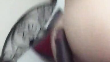 Watch these curvy MILFs get down and dirty in a wild group sex frenzy!