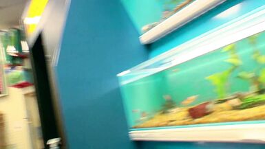 Watch Cassidy Clay, Jodi Bean & Seth Dickens get their big tits fucked hard and deep in sexy lingerie