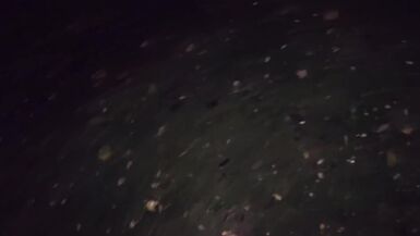 German Milf Lidla takes a risky public doggystyle pounding from Andy Star