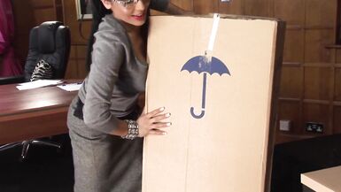 Romana Ryder & Tony James get nasty in the office