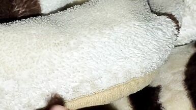 Hboss & Rima, Arab MILFs, get wild with sensual sex and creampies