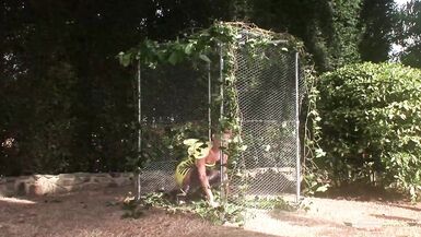 Valerie Pearl, Angel Long & Pascal White take turns stuffing their cunts with toys and taking facials