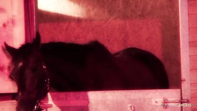 Jodie James gets her big tits and shaved pussy pounded in doggy style by Demetri XXX