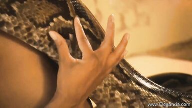 Bollywood's Erotic MILF Compilation: Big Tits, Brunettes, Desi, and oriental music.