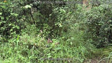 Markus Brown & Andromeda Hot take risky outdoor BJ & cum in a curvy bbw's ass