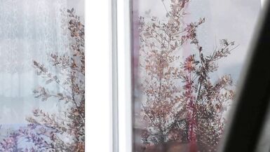 Konstanzia & Penis73 get naked in public without any panties and bra - 6 image