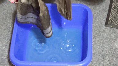 Lily Porn's hairy pussy gets licked and drenched in piss in this kinky homemade compilation