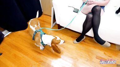 Watch Phoenix Rae get down and dirty with Jeff Lacy's big cock in a hot interview!