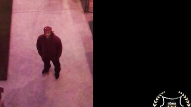 Jaylene Rio & Rome Major take turns pounding and licking pussy in steamy bedroom action!