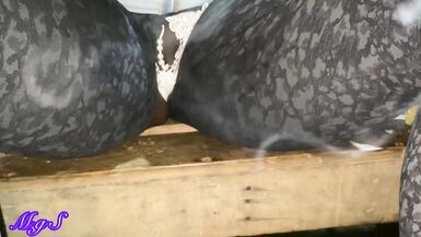 Bibi 58 flaunts her big clit and flashes her wet pussy at the top of a roof