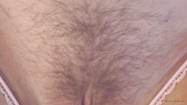 Kathia Nobili's Hairy Pussy Gets Pounded by Nick Lang's Big Cock