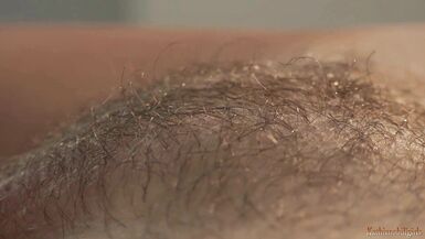 Kathia Nobili's Hairy Pussy Gets Pounded by Nick Lang's Big Cock