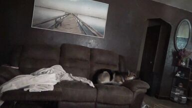 Partie 2 de la saga des MILFs coquines : Un sale secret sur sa chatte ! - 1 image