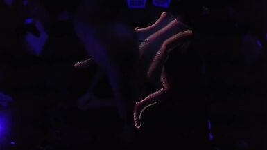 Darksome Light Vibes