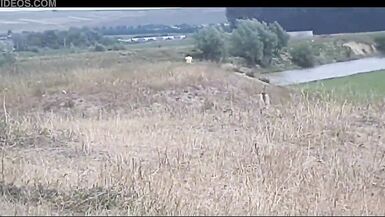 Real wench mama and son