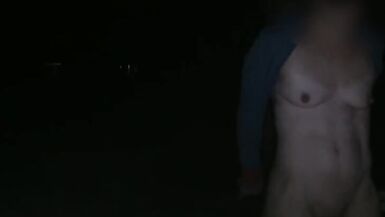 Tied and Blindfolded Wife gets used in a Park at Night - 8 image