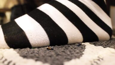 Unaware Punk Giantess Socks Crush - 5 image