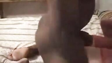 baise taureau films mari femme chaude pipe creampie cuckold - 5 image