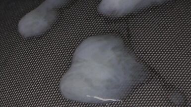 Schwester Maria. 6x Cumshots. Echte Sexpuppen. Wichsen auf Brüste. Arschficken, Blowjobs, Handjobs Mädchen Titten. Weibliche Frau Puppen von Mann masturbieren männlich - 11 image