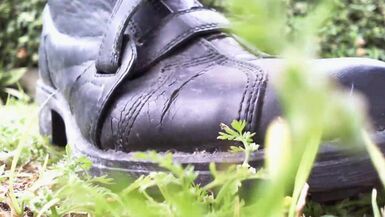 Superb crushing video in a public garden getting trampled - 1 image
