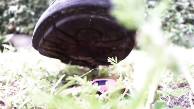 Superb crushing video in a public garden getting trampled - 2 image