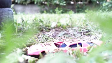 Superb crushing video in a public garden getting trampled - 5 image