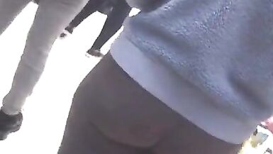 Latina de rabo curto e grosso - 4 image