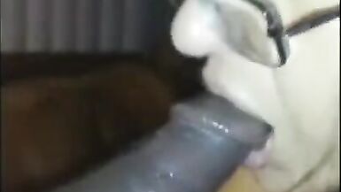 Ottenere un po di testa dalla mia GILF - 2 image