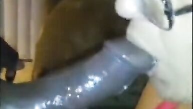 Getting some Head from my GILF