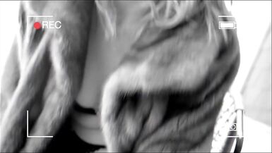Hausmaid - Threesome with Miss Daisy and hot Brunette with big tits - 1 image