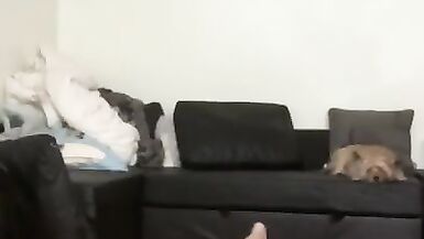 Doing Yoga Naked and at the end Masturbates and Cums on Camera - 2 image