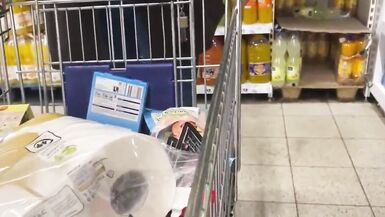 La folie de Corona - ma chatte pour du papier toilette - 2 image