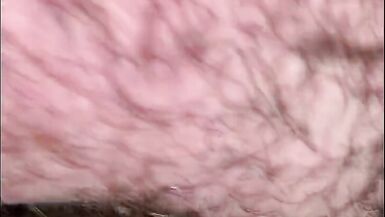 BBW BHM Couple Suck a dick 2