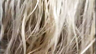 BBW BHM Couple Suck a dick 2 - 13 image