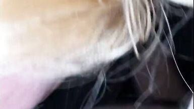 BBW BHM Couple Suck a dick 2 - 5 image