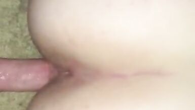 Tarte à la crème crémeuse pour chattes