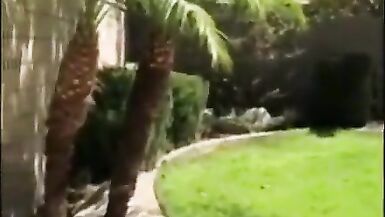 LE RISQUE DE BAISER DANS LE JARDIN DE MES VOISINS AVEC MON EX. - 2 image