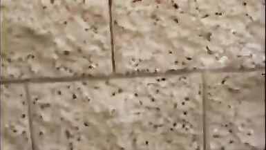 LE RISQUE DE BAISER DANS LE JARDIN DE MES VOISINS AVEC MON EX. - 3 image