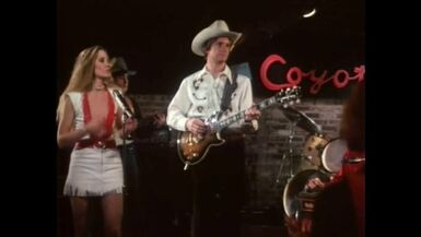 Wild Dallas Honey (1982, US, Honey Wilder, full movie, DVD) - 1 image