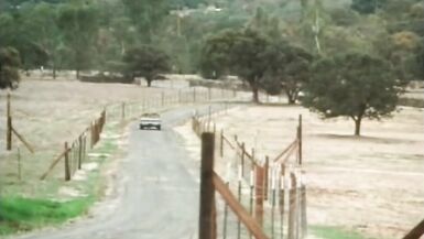 Wild Dallas Honey (1982, US, Honey Wilder, full movie, DVD) - 5 image