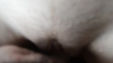 Nice Cream Pie in Gonzo - 14 image