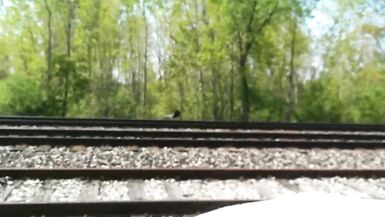 Ugly Homeless Whore Sucking Black Cock Outdoor Railroad - 5 image