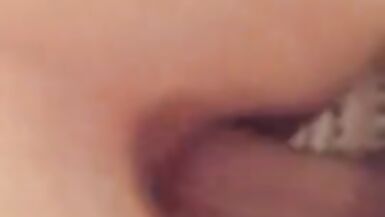 Chaton qui supplie pour de lanal