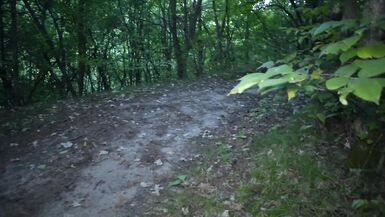 Public Agent - Amateur Babes Give Stranger Public Blowjob on Park Bench