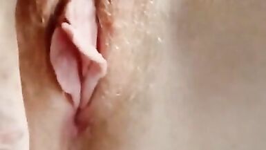 chatte rousse en fleurs