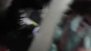 Chienne avec une chatte mouillée