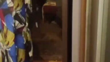 While the son is not at home