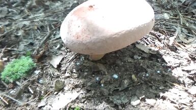 Nuda bagno nel torrente - senza sesso - allaperto Sexxy MILF paffuto Frangelica PFC capelli - 10 image