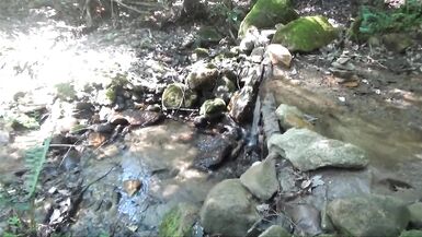 Nuda bagno nel torrente - senza sesso - allaperto Sexxy MILF paffuto Frangelica PFC capelli - 6 image