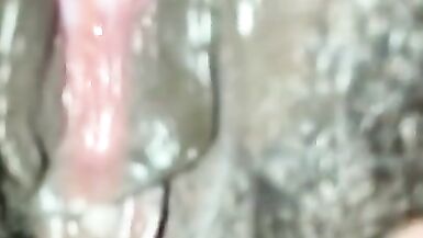 Brownie Takes first DP